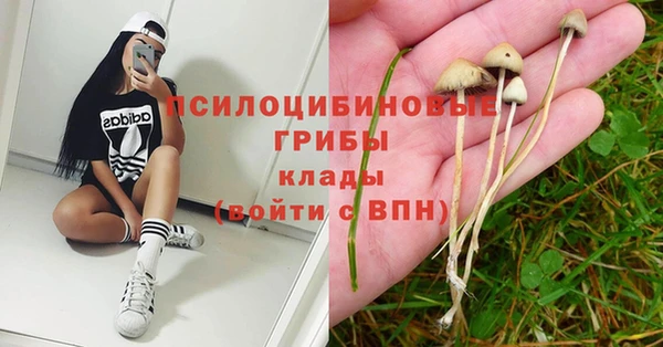 дмт Алексеевка