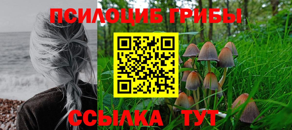 Галлюциногенные грибы MAGIC MUSHROOMS  Псилоцибиновые грибы MAGIC MUSHROOMS  Сокол  Вход с VPN 