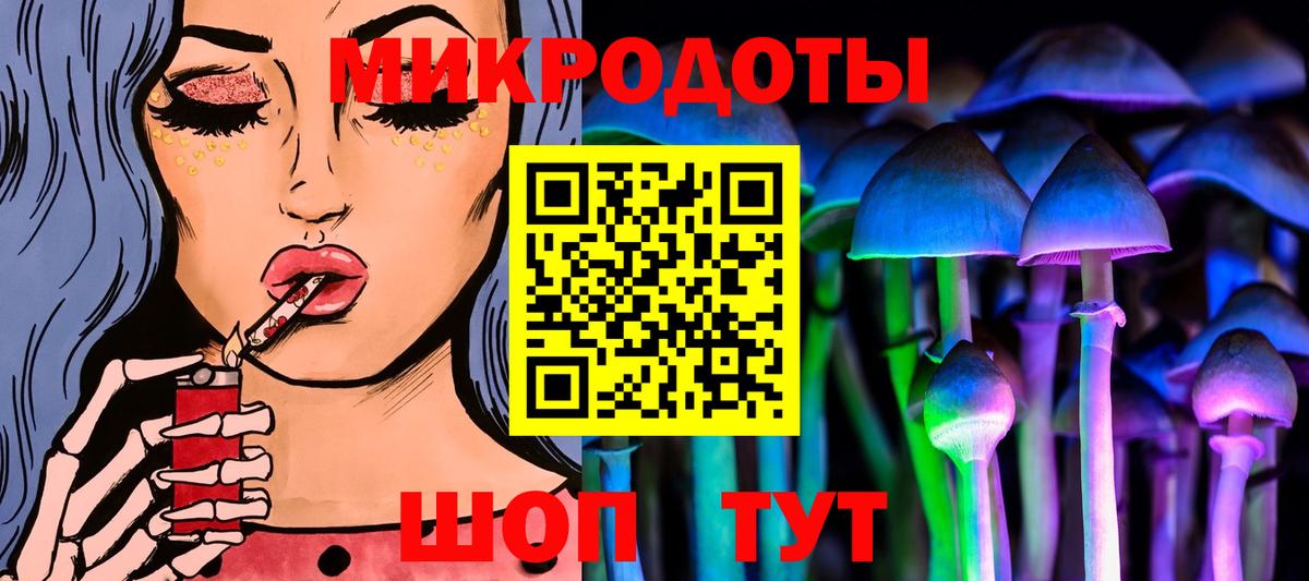 Псилоцибиновые грибы Psilocybine cubensis Сокол